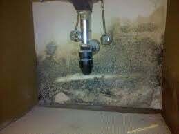 Mold removal by EPS Lakeland LLC