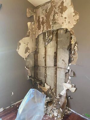 Mold Remediation and Removal in Lakeland, FL (2)