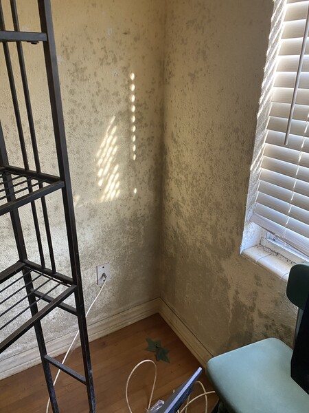 Mold Remediation Services in Winter Haven, FL (3)