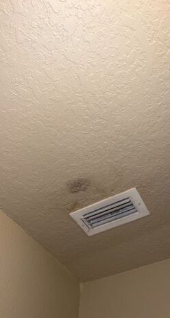Mold Remediation Services in Lakeland, FL (4)
