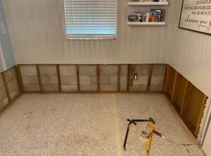 Mold Remediation Services in Lakeland, FL (8)