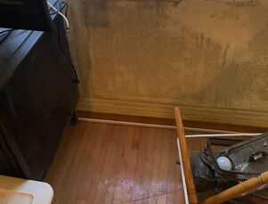 Mold Remediation Services in Winter Haven, FL (1)
