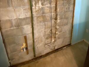 Water Damage Restoration and Mold Remediation Services in Plant City, FL (1)